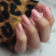 S-Gel Builder In A Bottle ELEGANT PINK 8ml | LAUNCH 28.02.2025