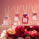 Reed Diffuser Set Light Rose 50ml & Pure Rose 50ml 