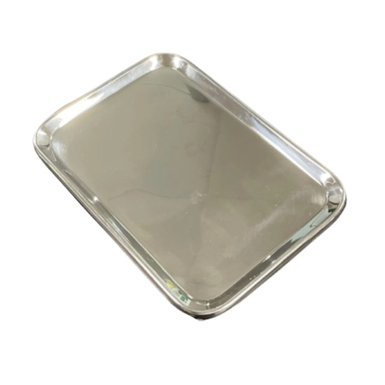 Stainless Steel Instrument Tray XL 30x21x1cm 